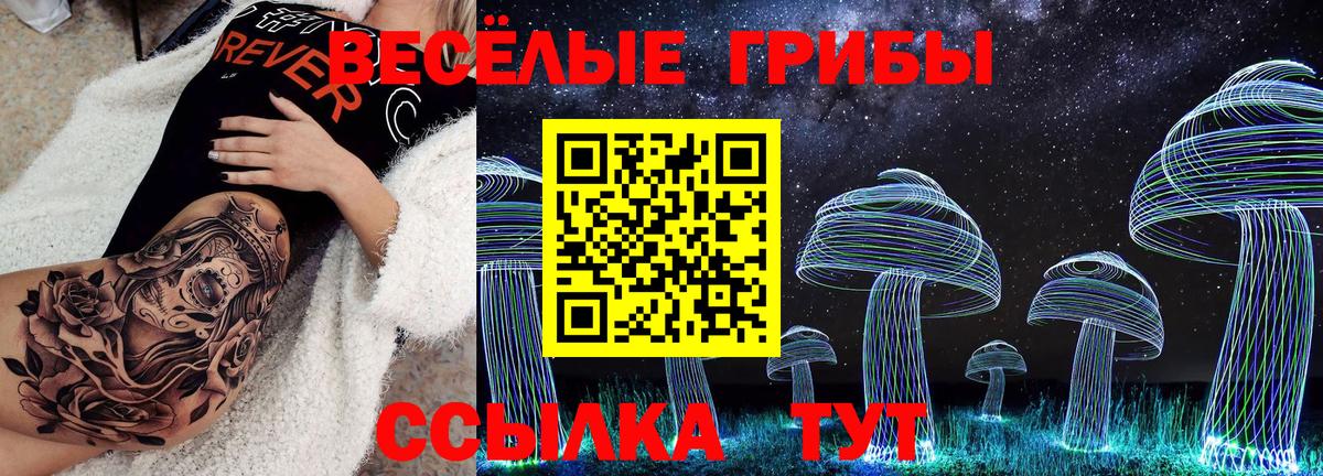 Галлюциногенные грибы ЛСД Менделеевск