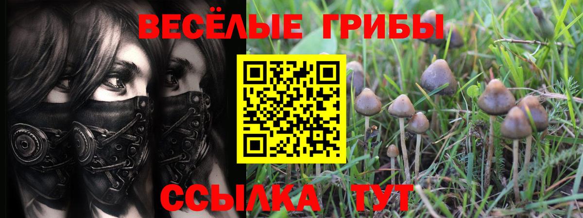 Галлюциногенные грибы Psilocybine cubensis  Вход с VPN  Менделеевск 